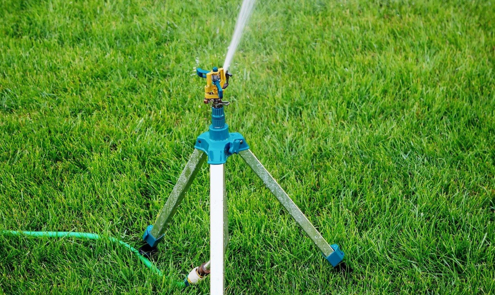 Watering Instructions (How Much To Water Your Lawn)